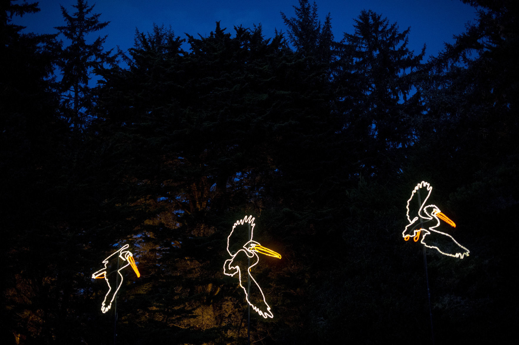 Shore Acres Holiday Display